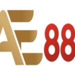 Profile picture of Ae888 investments